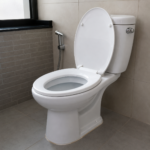 7 Perbedaan WC Mampet dan Penuh yang Sering Disalahartikan