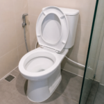 9 Tips Mencegah WC Mampet di Rumah agar Tetap Lancar