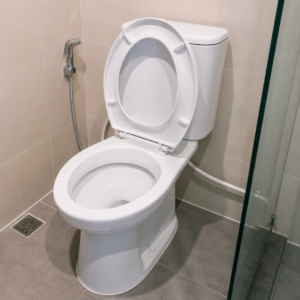 Tips mencegah WC mampet di rumah