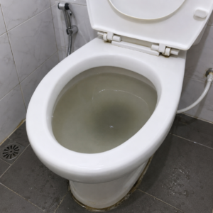Cara Mencegah WC Buntu