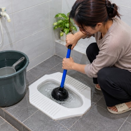 pompa wc manual